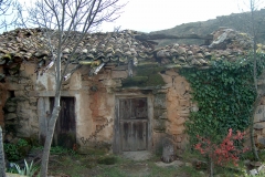 Casilla de un barrio