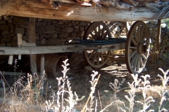 Carro de vacas