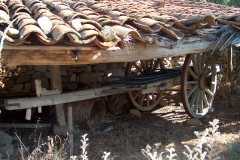 Carro de vacas